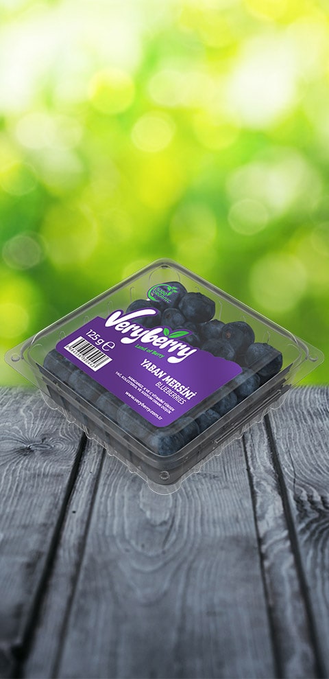 Organik 125gr Yaban Mersini Doğal Blueberry